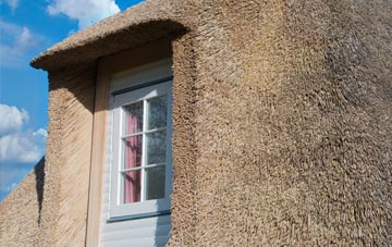 Roose thatch roof disadvantages