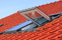 Roose roof window
